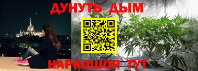 jwh Будённовск