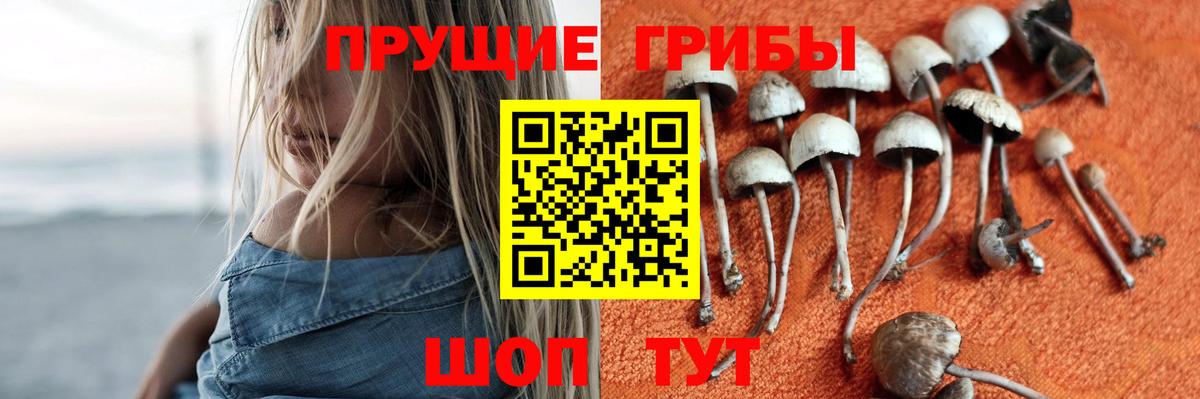 Псилоцибиновые грибы ЛСД  Вход с VPN  Рузаевка 